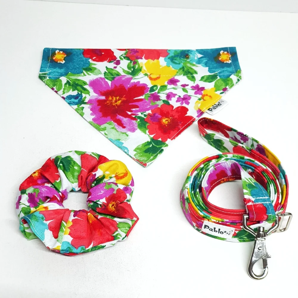 Pablo Reversible Floral Dog Bandana Leash & Scrunchie Set - Picture 1 of 7